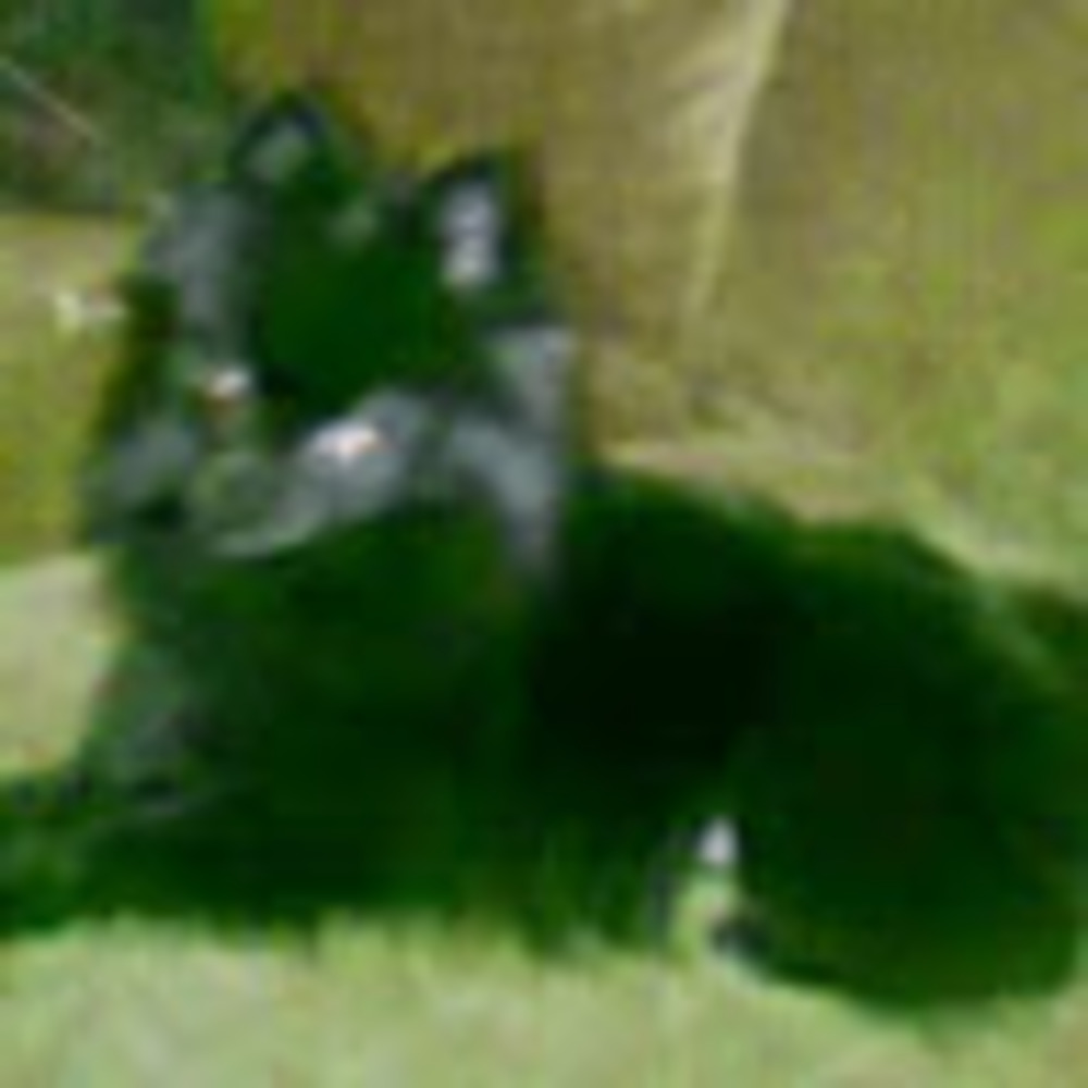 Meet your Posher, Teresa